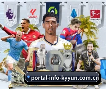 portal-info-kyyun.com.cn APP