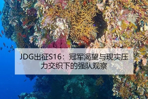JDG出征S16：冠军渴望与现实压力交织下的强队观察